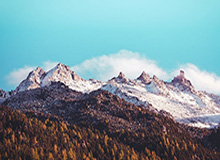 开云官网-刘国梁：粉丝要知道，你的偶像真正需要的是更好的环境|中国乒协|中国乒乓球队|国乒球队|乒乓球|国乒_新浪体育_新浪新闻