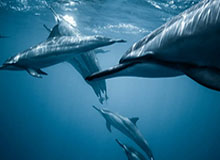 开云官网-刘国梁：粉丝要知道，你的偶像真正需要的是更好的环境|中国乒协|中国乒乓球队|国乒球队|乒乓球|国乒_新浪体育_新浪新闻